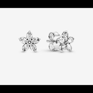 Pandora earrings